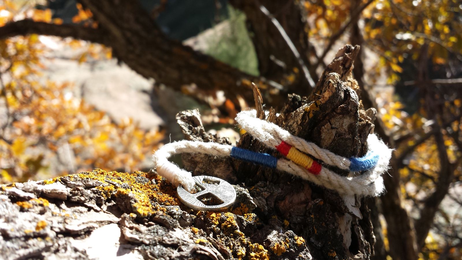 A Colorado Bracelet Company bracelet tied to a tree branch