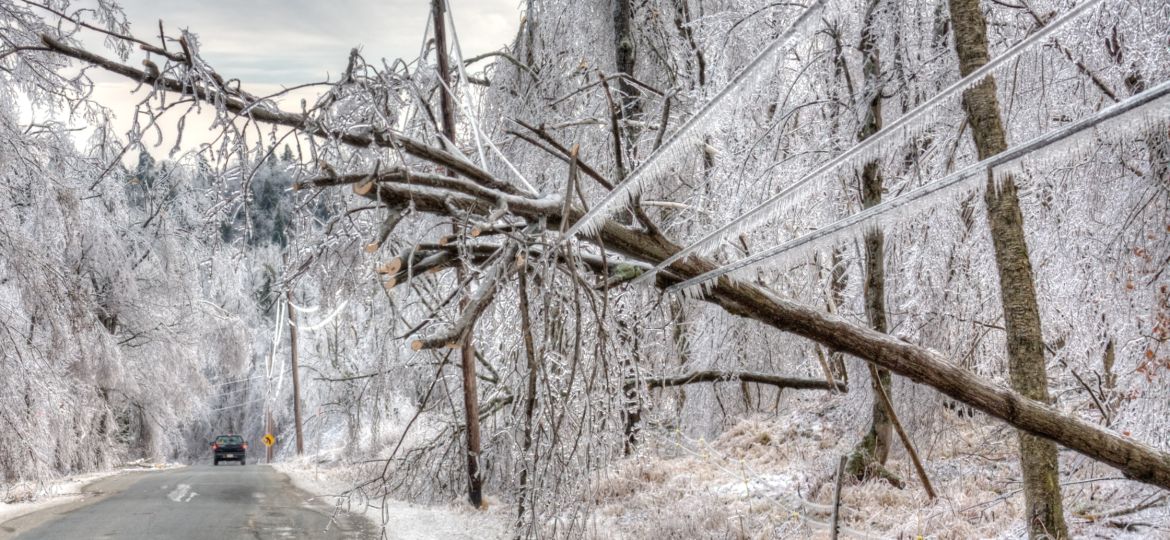 Ice-covered trees fallen across power lines and a roadway after a major storm